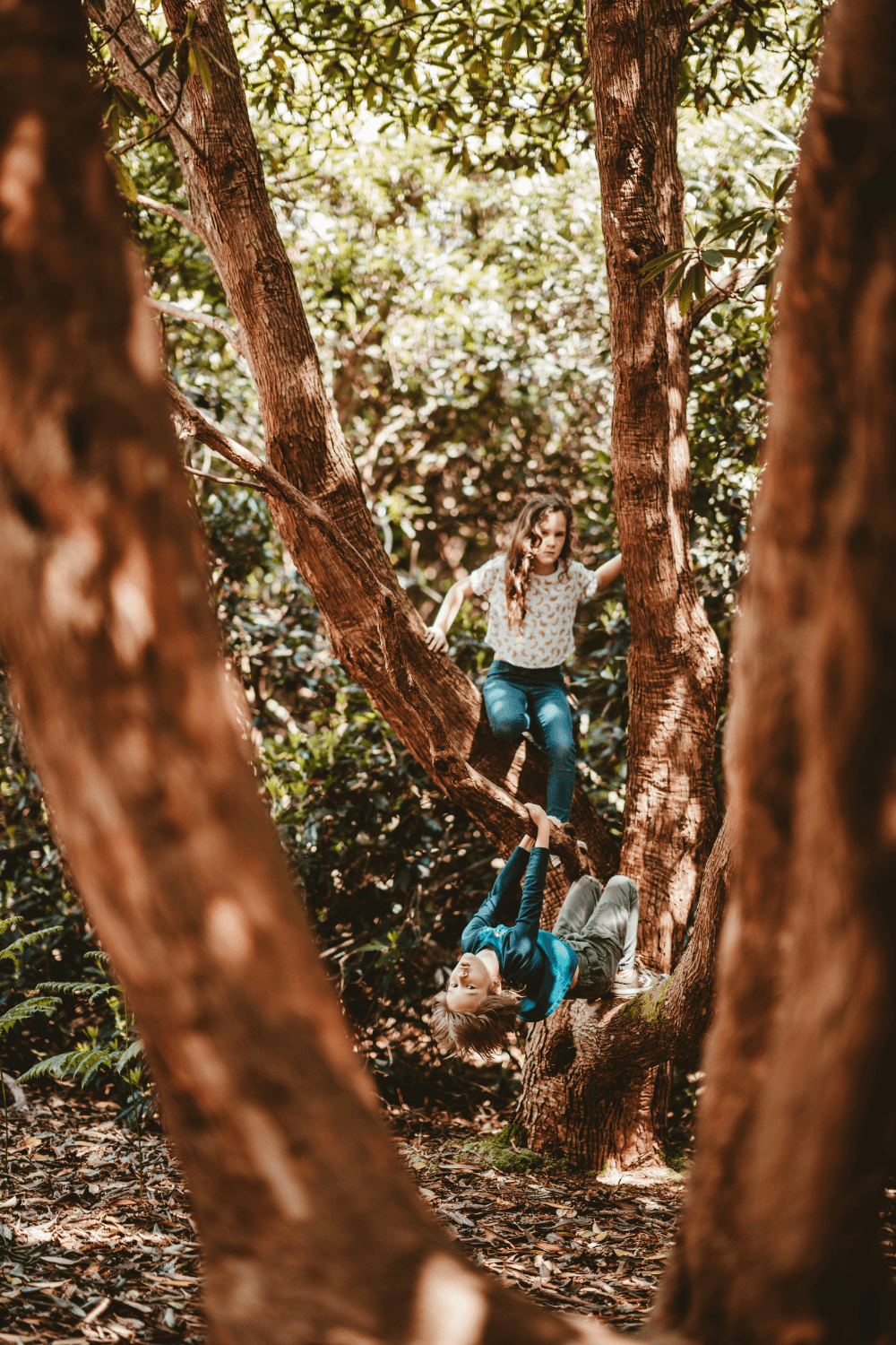 Boy and girl playing on tree in forest