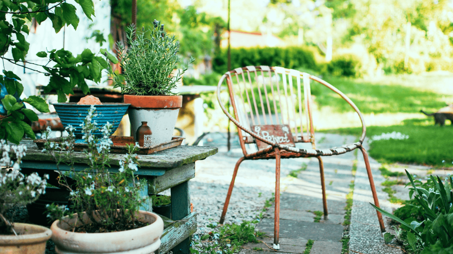 Empty mental chair in garden next to plants