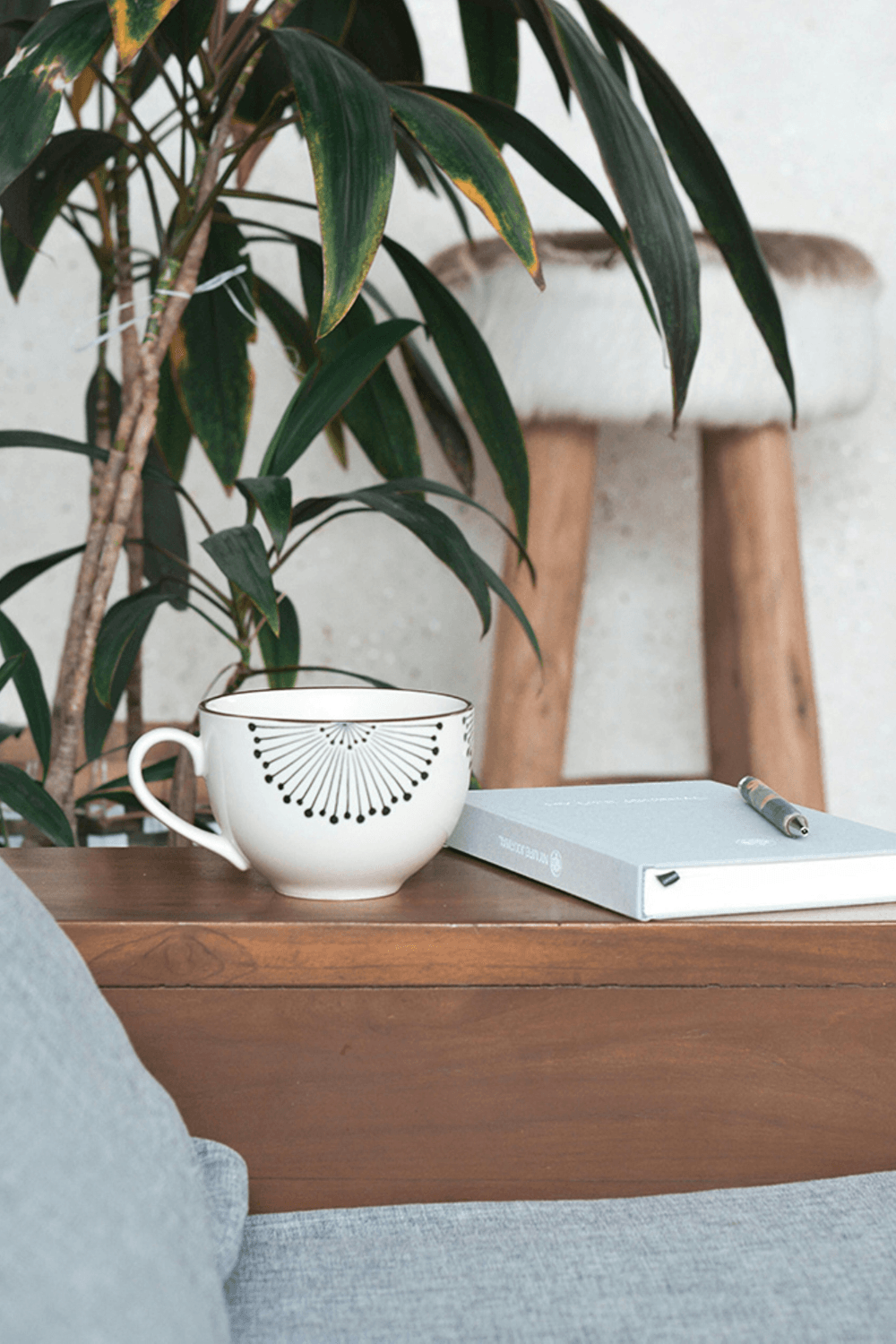 Mug and journal on table next to plant