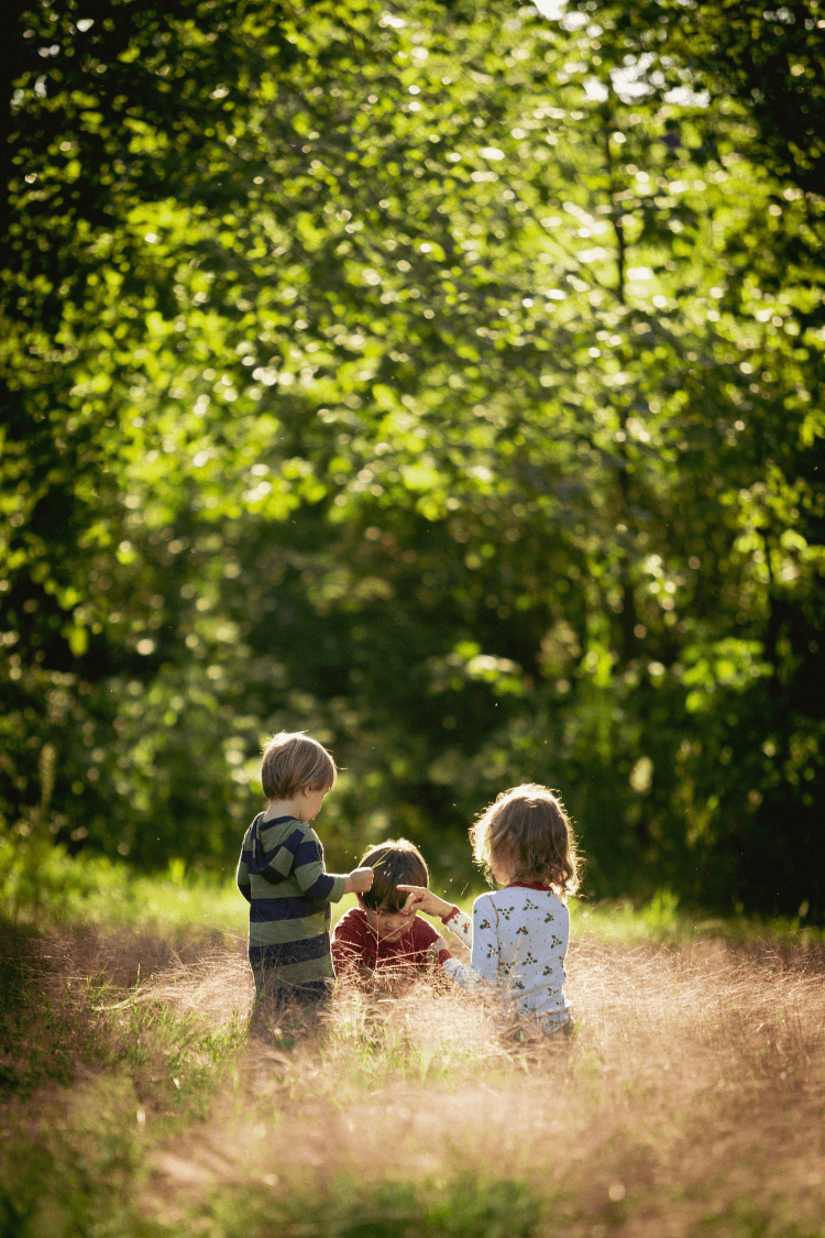 Three children playing in a sunlight area of a forest