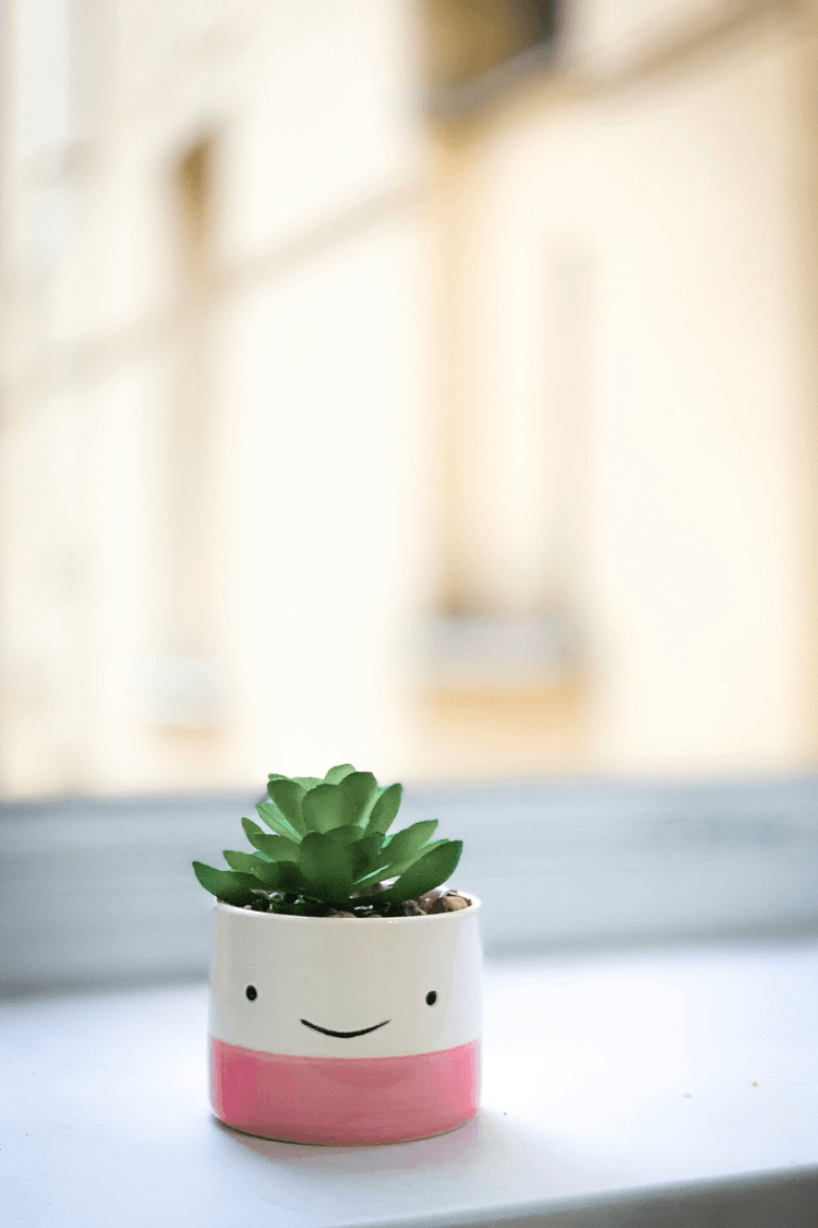 Cute plant in pot with smiley face on