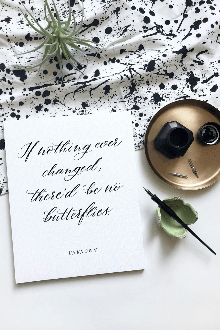 If nothing ever changed there'd be no butterflies quote