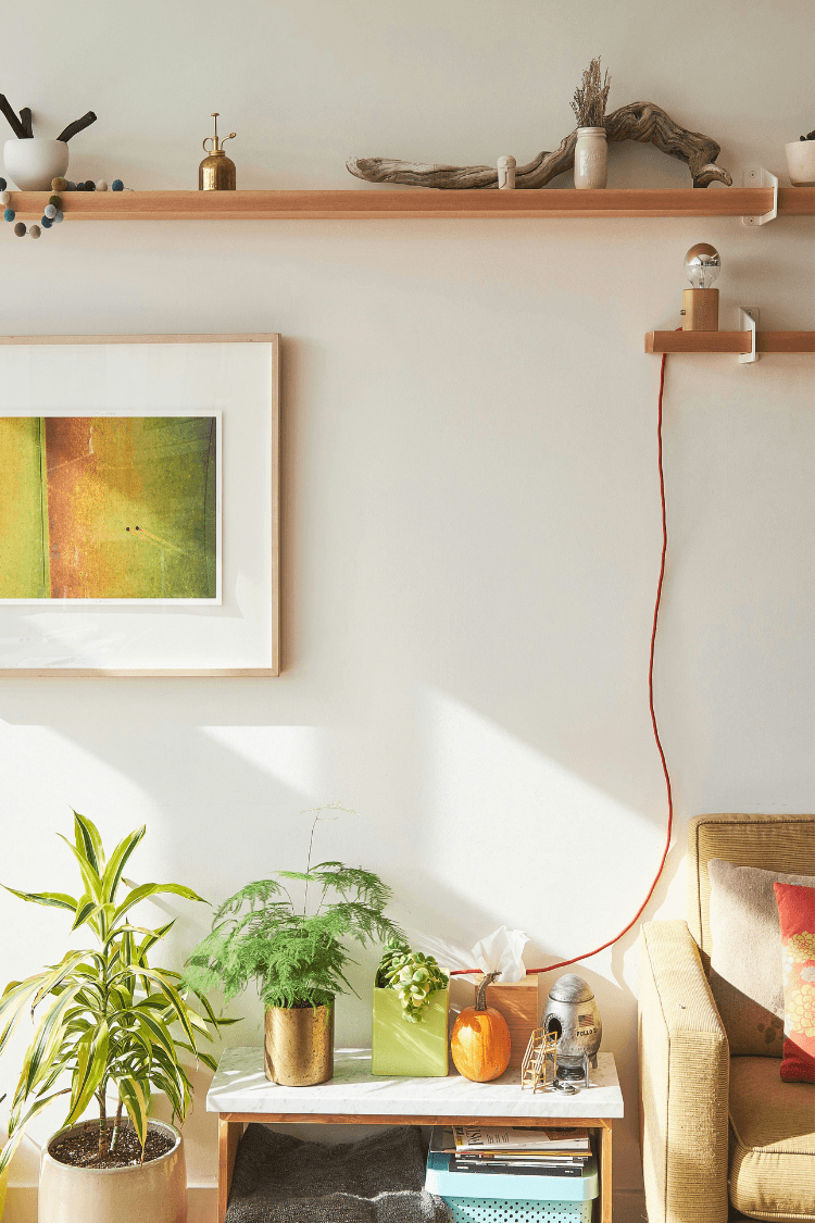 Light and airy flat with plants