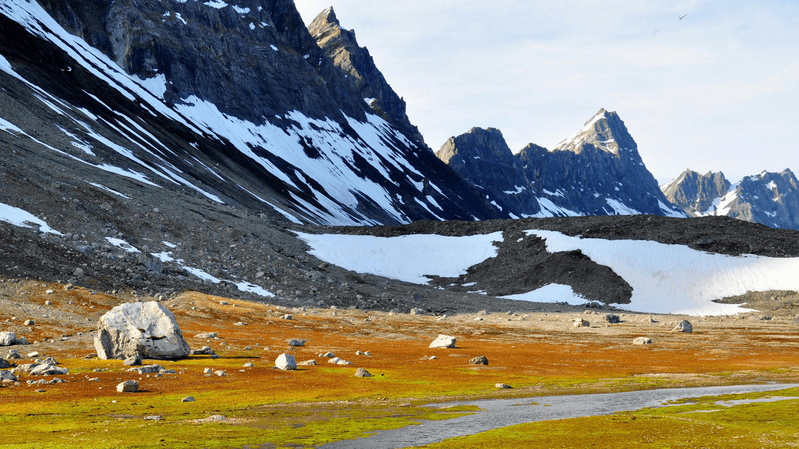 Mountains, ice and green grass in Svalbard