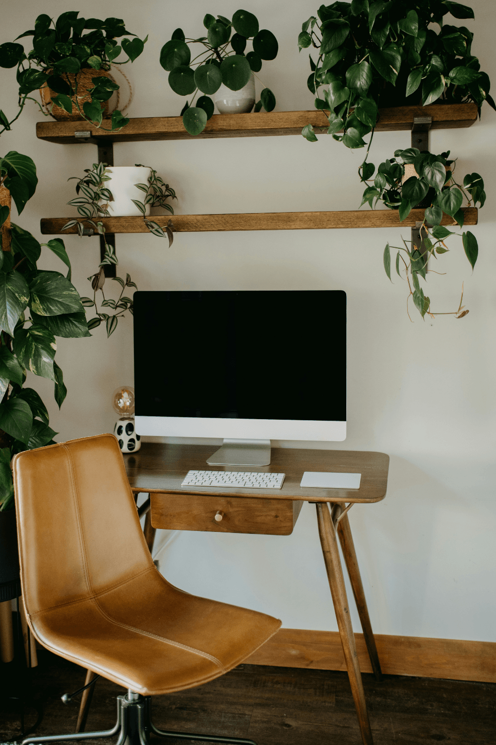 Neat and tidy office with iMac, brown chair and plants
