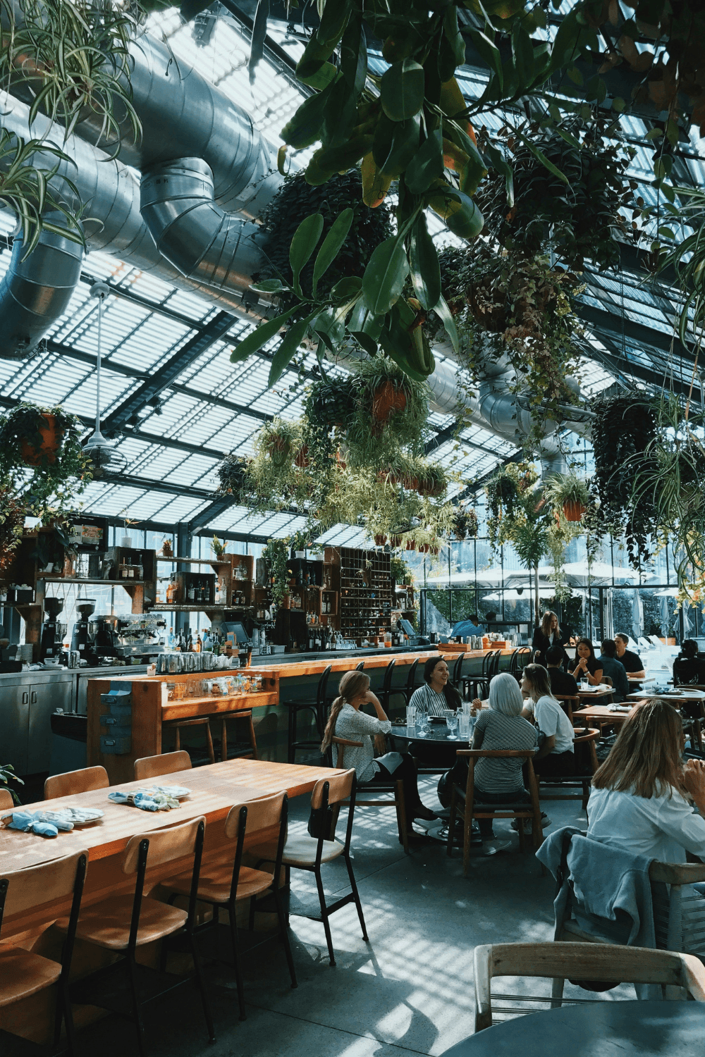 People eating together in restaurant with high ceiling and lots of greenery