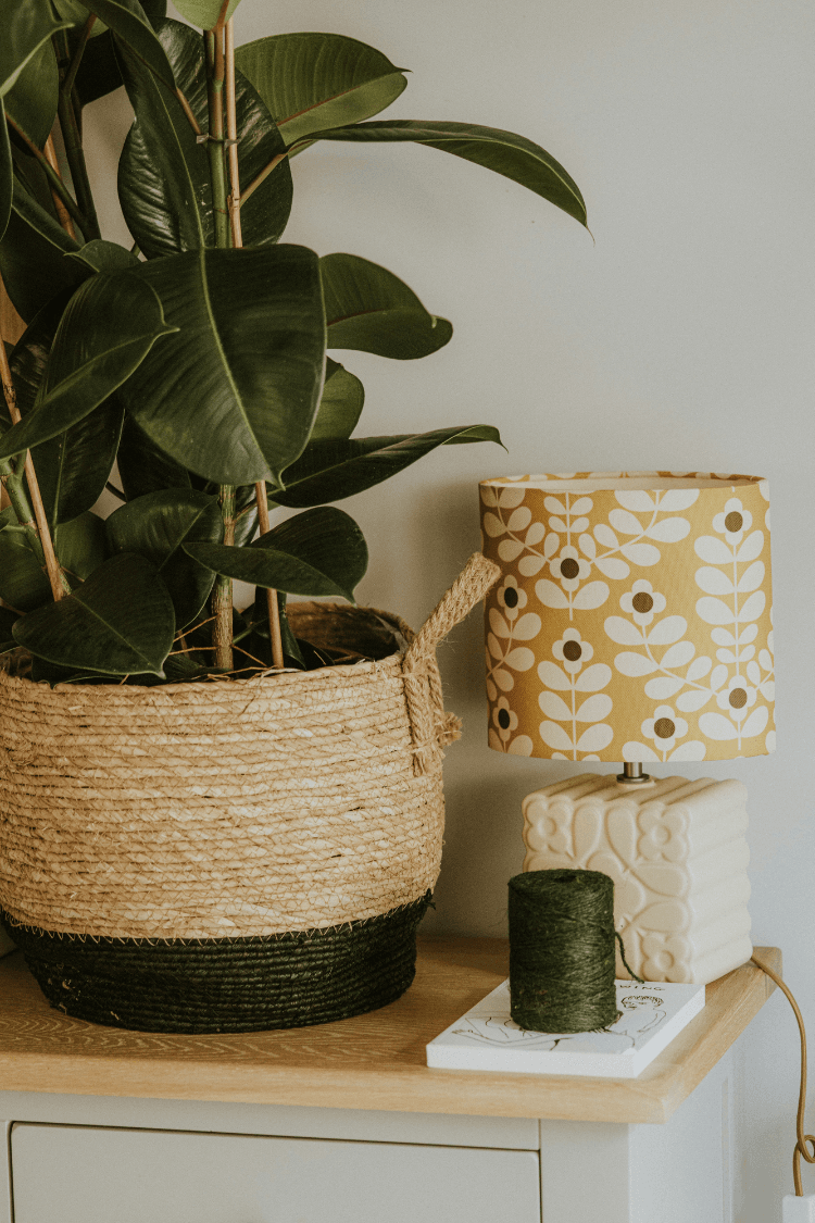Potted plant on table next to lamp