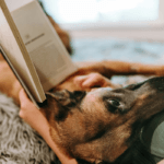 Reading book with dog looking on
