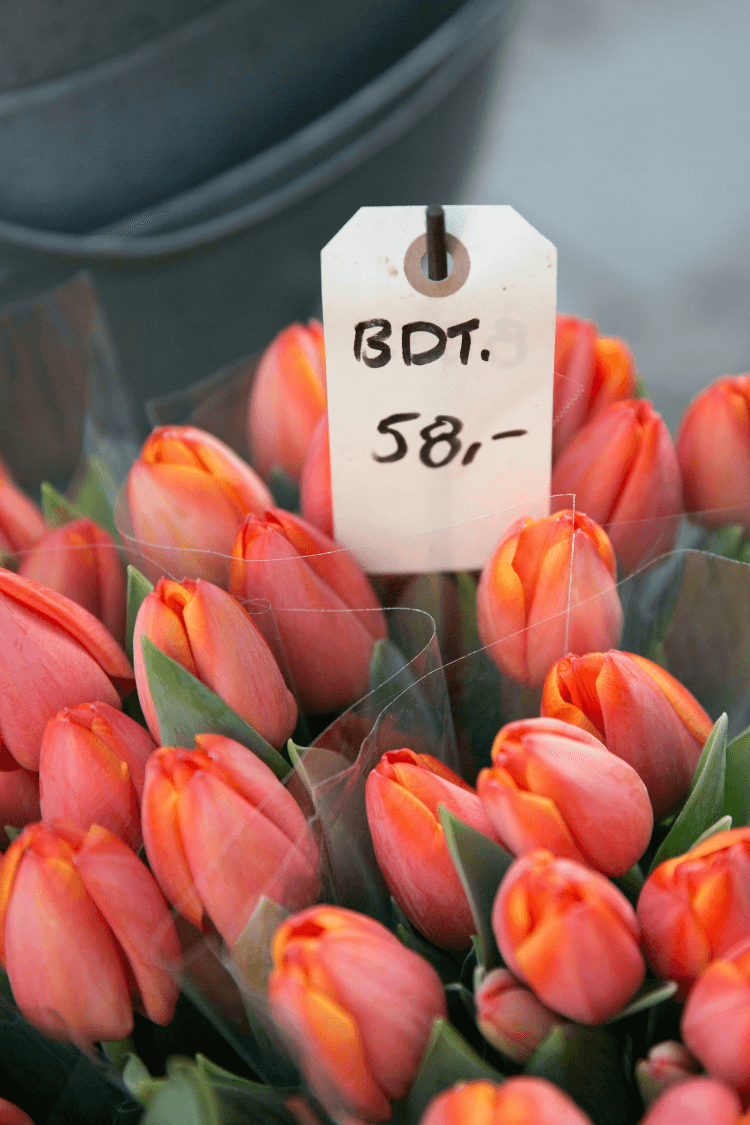 Red danish tulips in Copenhagen flowershop
