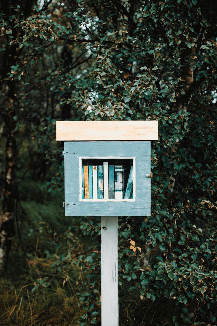 Small blue wooden box with books inside