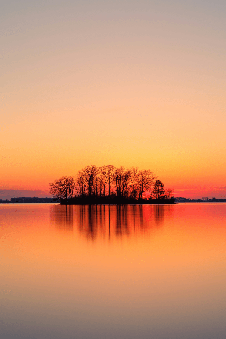 Stunning orange Sunset with trees in silhouette