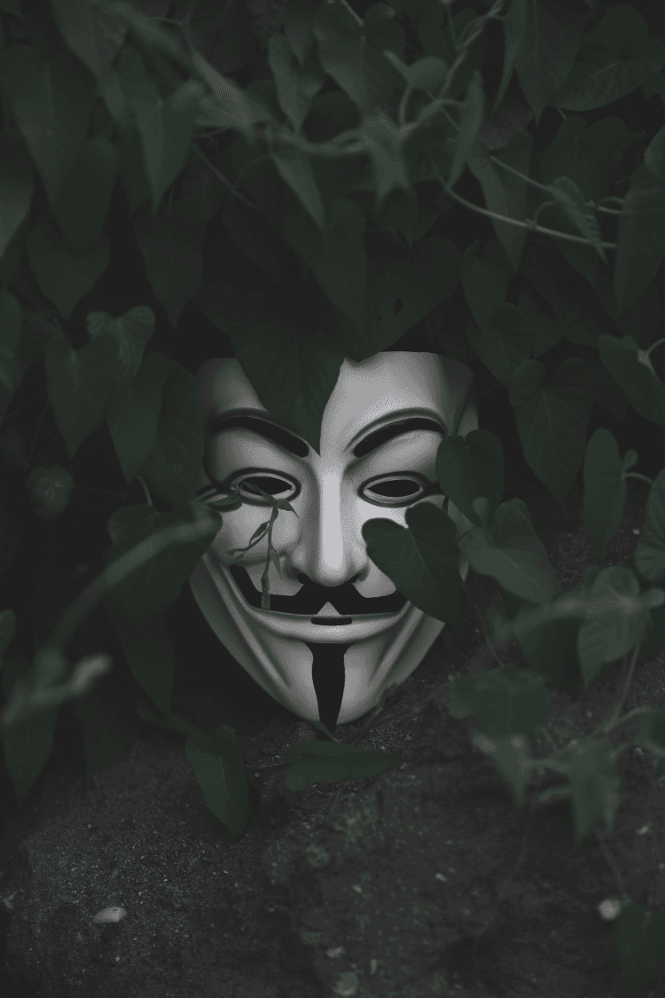 Theatre mask surrounded by dark green leaves