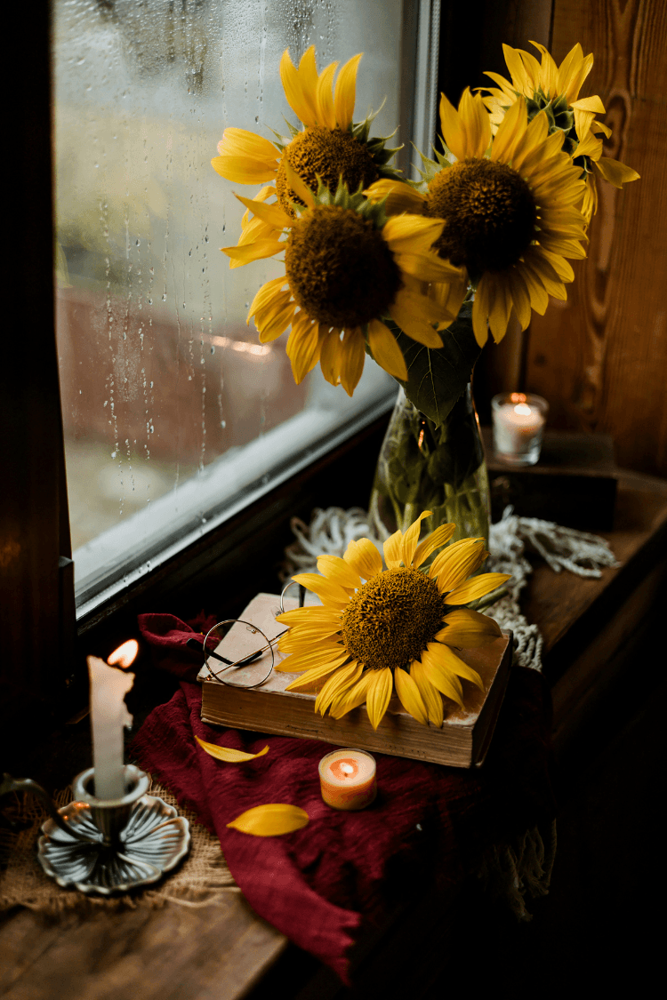 Vase of yellow sunflowers next to rainy window