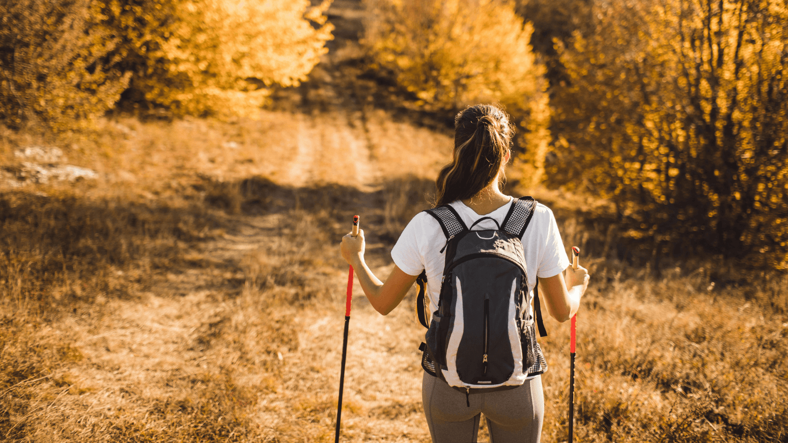 Woman nordic walking along forest footpath in autumn