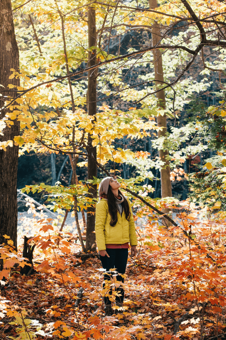 Woman walking in the woods in autumn