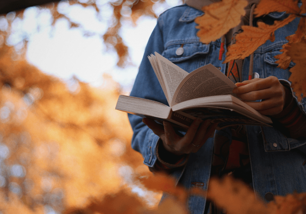 Close-up of book being read outdoors in autumn