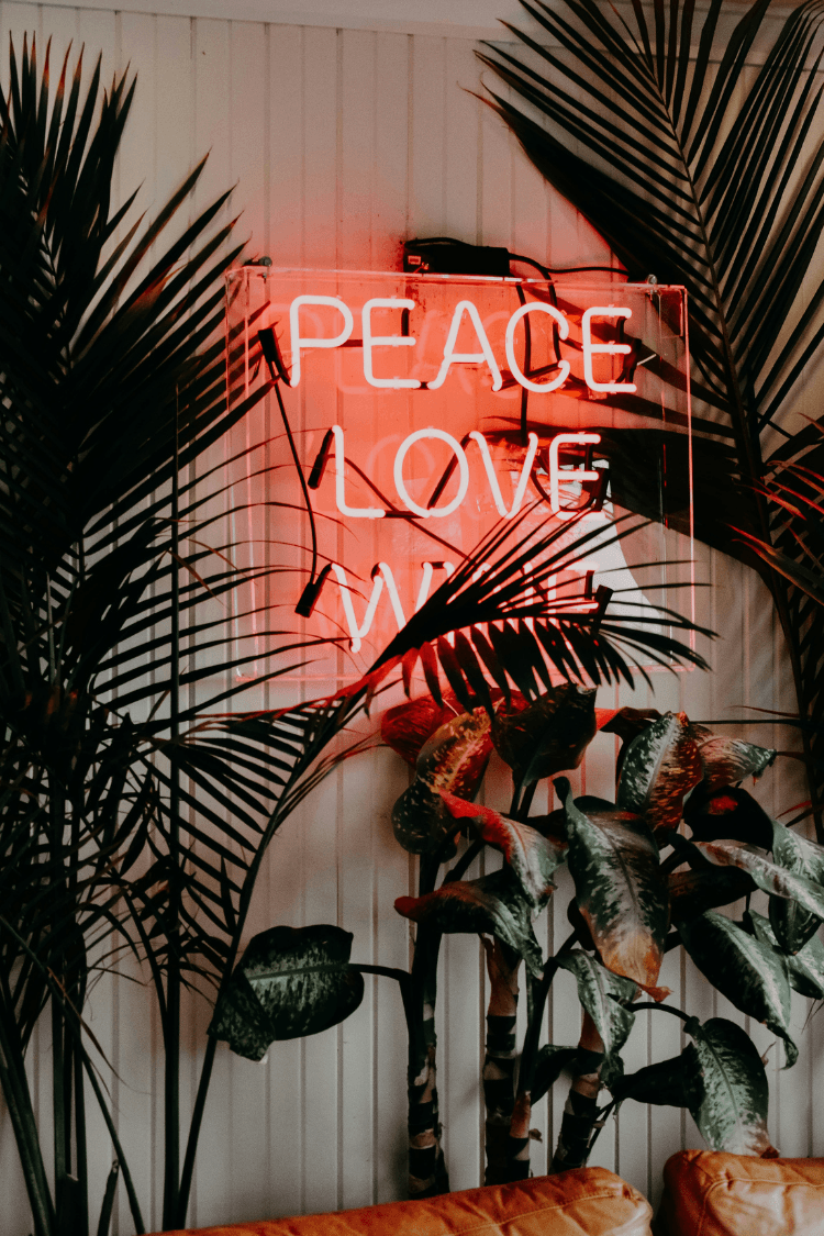 Neon sign sating peace love wins