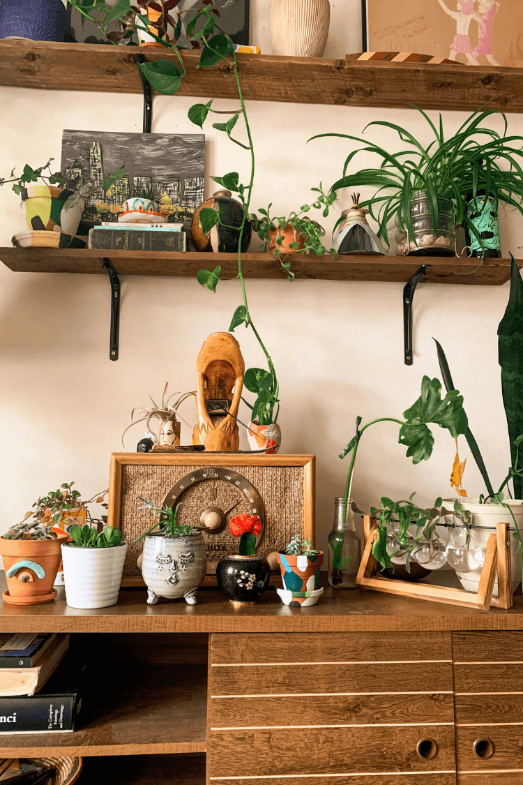 Sideboard with various items on including plants and pictures