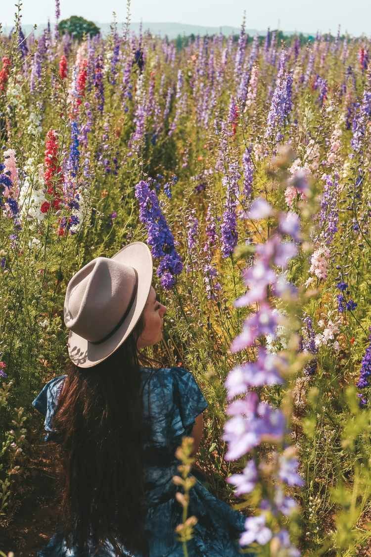 Young woman walking through field of foxgloves